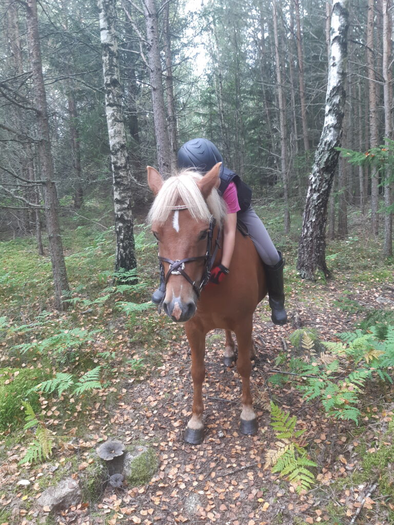 Under på ridlektion i skogen